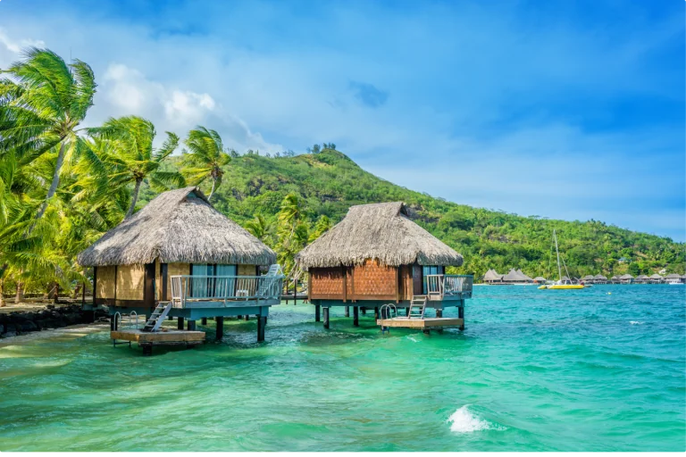 Dream Holiday Luxury Agent