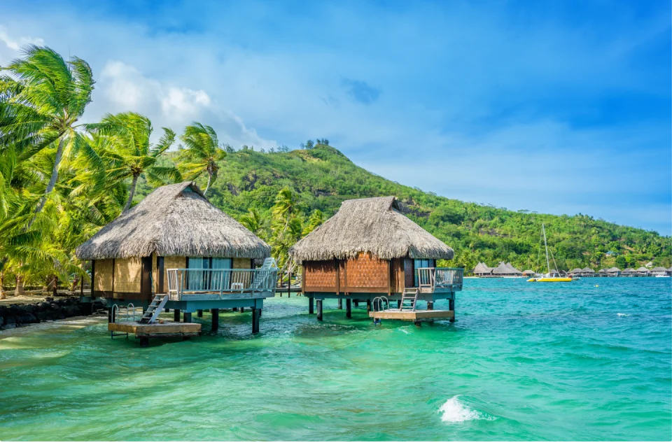 Dream Holiday Luxury Agent