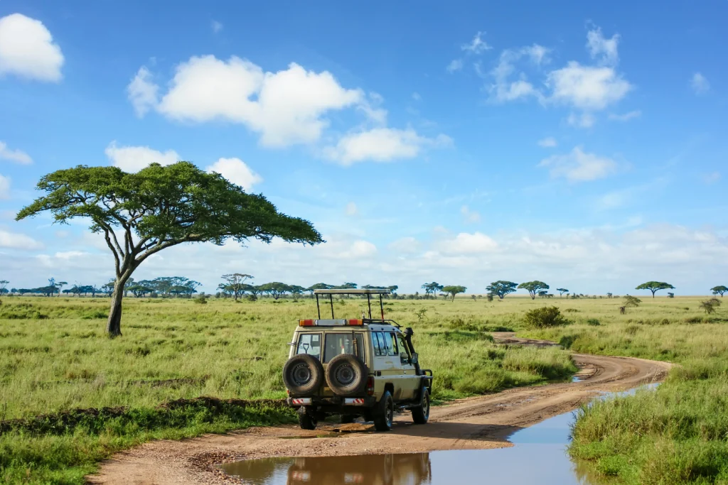 African Safari Tour Travel Agent