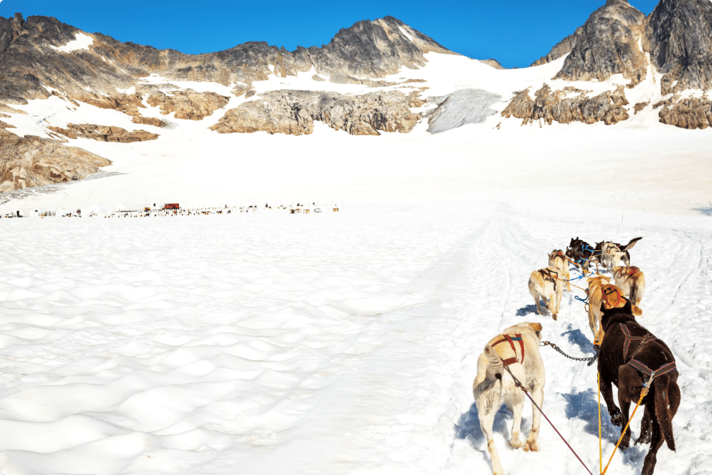 Skagway, Alaska Dog Sleight Booking